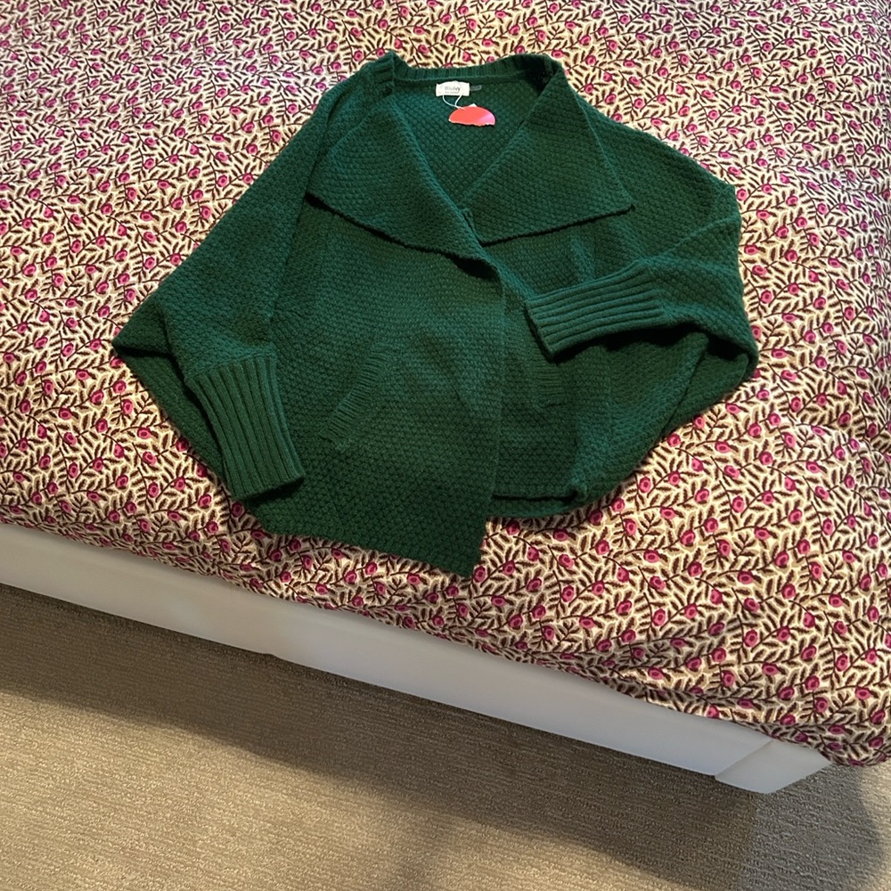 Bluivy Green Women's Sweater